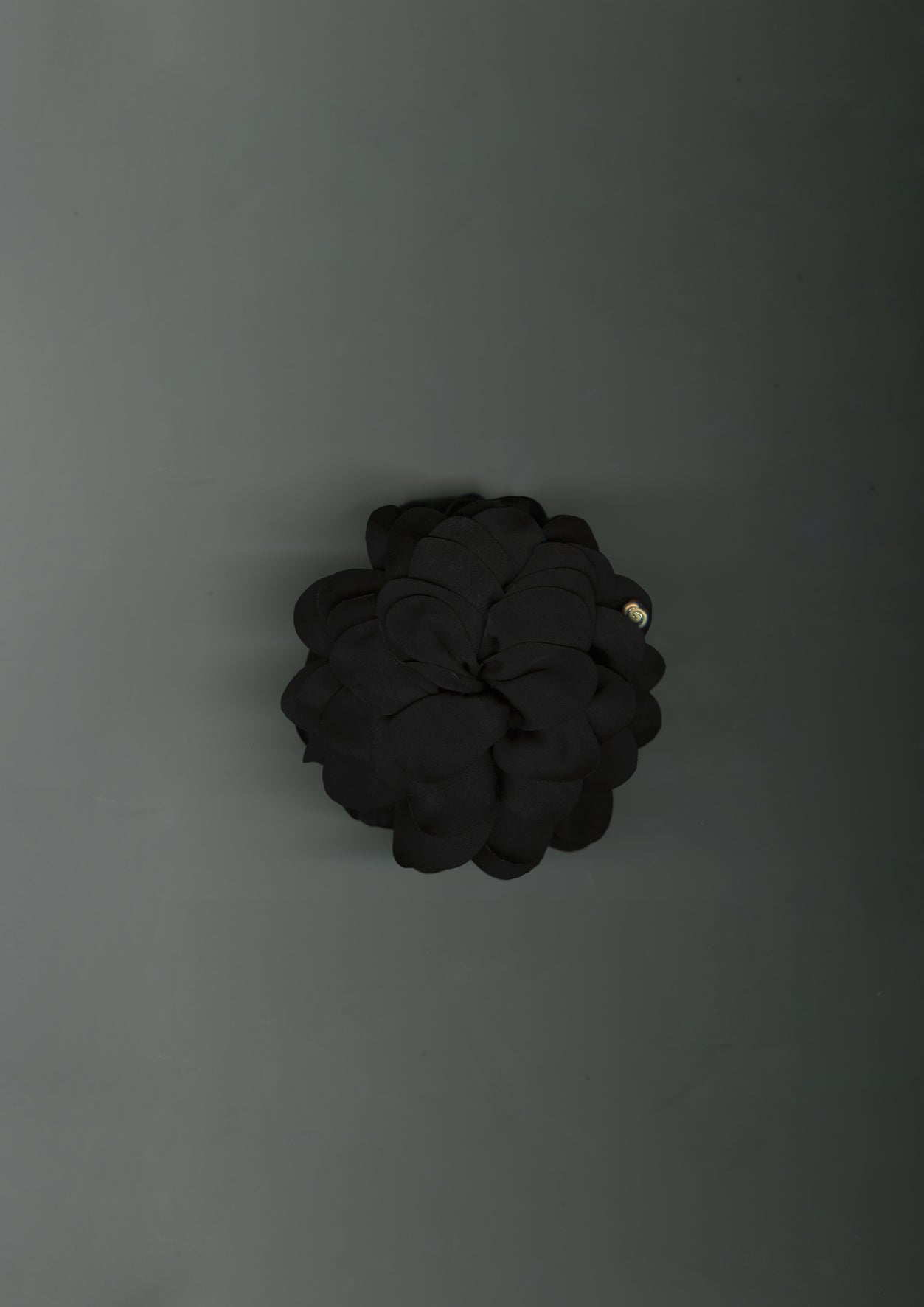 BLACK DAHLIA
