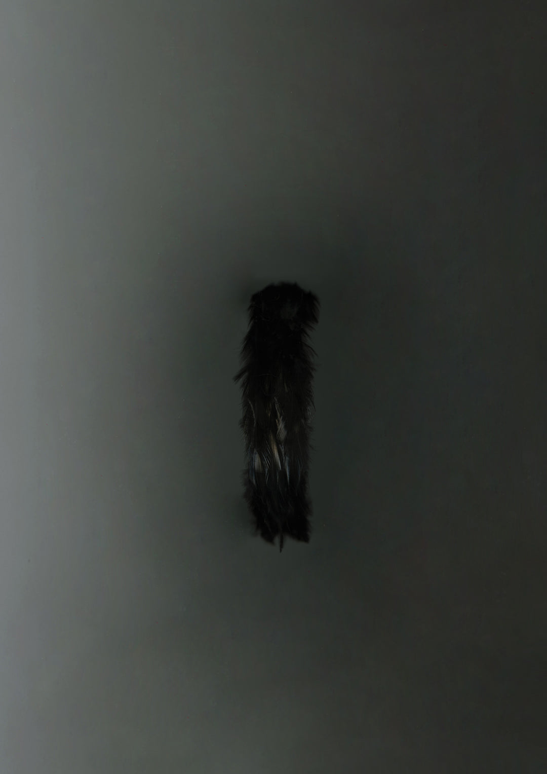 Iolana Feather Alice Band